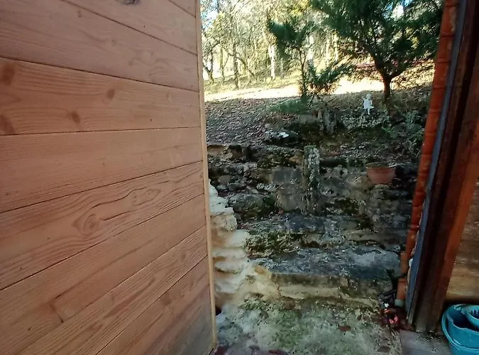 Maison Dans Un écrin De Verdure * Saint-Leon-sur-Vezere